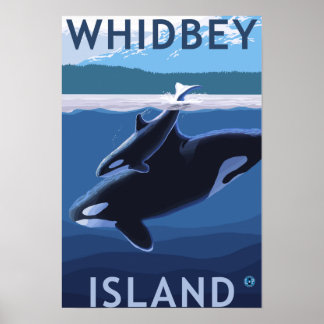 Whidbey Island, WashingtonOrca and Calf Poster
