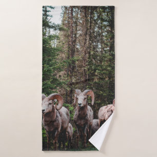 WHILE DRIVING ALONG THE BOW VALLEY PARKWAY IN BANF BATH TOWEL