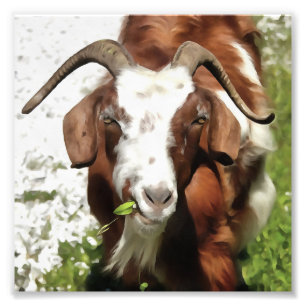 Whimsical Artistic Portrait Of A Goat Grazing Photo Print