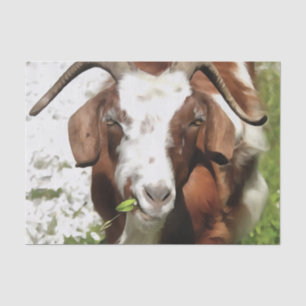 Whimsical Artistic Portrait Of A Goat Grazing Tissue Paper