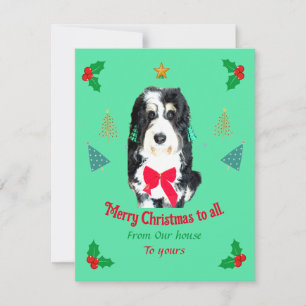 Whimsical Bernedoodle dog Christmas holiday card