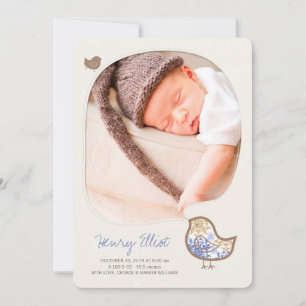 Whimsical Blue Damask Chick Baby Boy Photo Birth Announcement