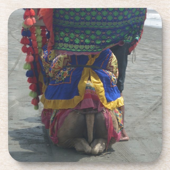 Whimsical Camel Art Print/Graphic Coaster (Front)