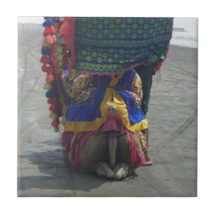 Whimsical Camel Art Print/Graphic Tile