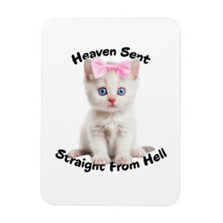 Whimsical Cat Magnet