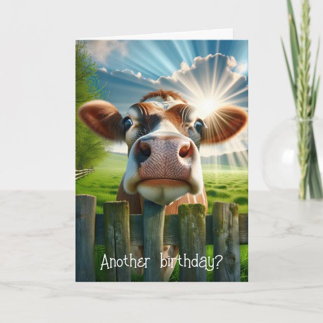 Whimsical Cow Birthday Humour Card (Front)