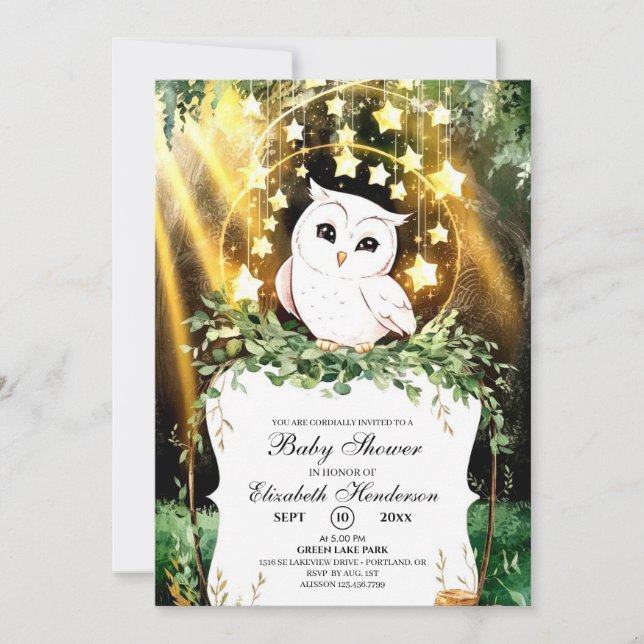 Whimsical Cute Owl Baby Shower Invitation (Front)