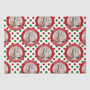 Whimsical Family Photo Red Green Polka Dot Holiday Tissue Paper