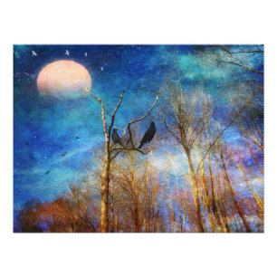 Whimsical Forest Scene Photo Print