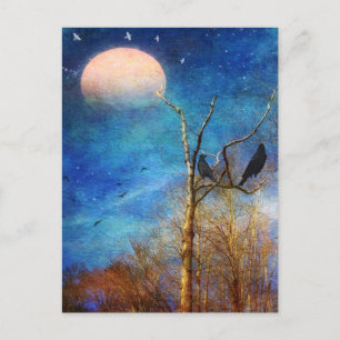 Whimsical Forest Scene Post Card