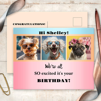 Whimsical Girly Funny Photos Pastel Birthday  Postcard