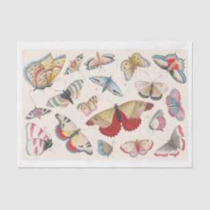 Whimsical Hand-Drawn Set of Butterflies Tissue Paper