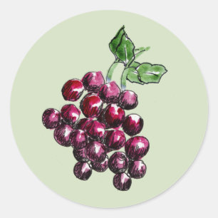 Whimsical Hand-Drawn Vineyard Grapes Envelope Seal