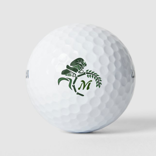 Whimsical Hooded Grasshopper Monogram Golf Balls (Front)