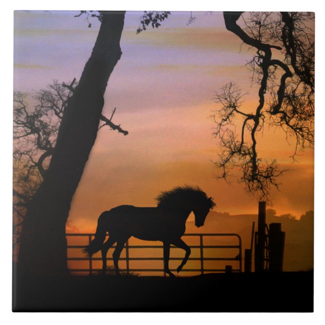 Whimsical Horse Art Tile, Pretty Southwestern Tile (Front)