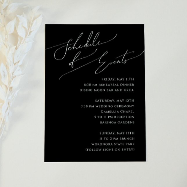 Whimsical Minimal Script Black Schedule of Events Enclosure Card (Creator Uploaded)