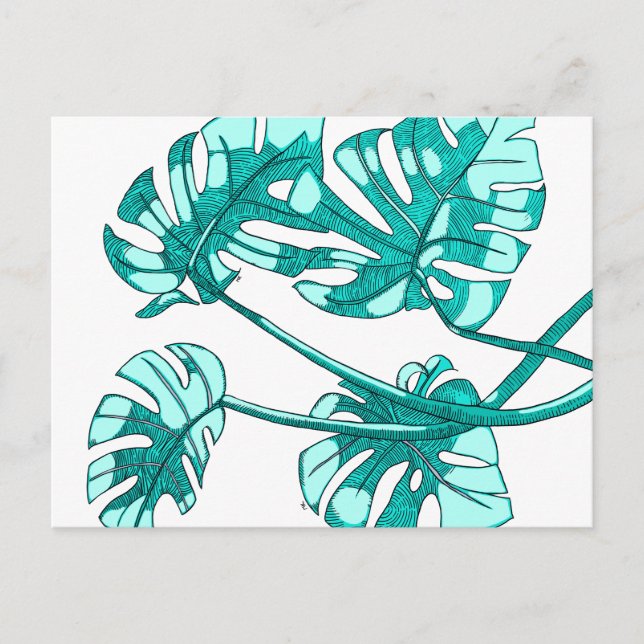 Whimsical, monstera leaf design postcard (Front)