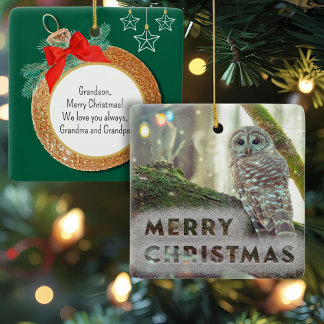 Whimsical Owl in Winter Merry Christmas Ceramic Ornament
