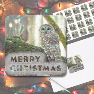 Whimsical Owl in Winter Merry Christmas Square Sticker