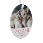 Whimsical Red Merry Script Cat Photo