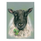 Whimsical Sheep with Shamrocks