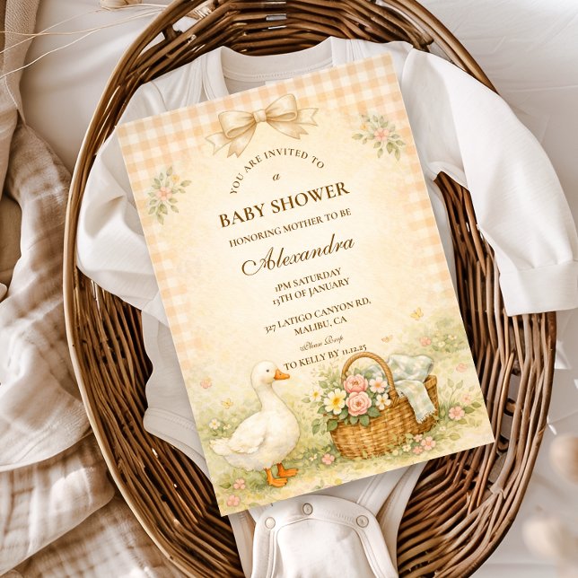 Whimsical Silly Goose Spring Baby Shower Invitation (Creator Uploaded)