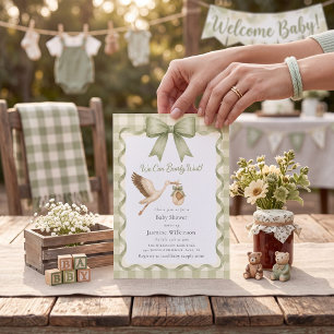 Whimsical Stork Baby Shower Green Gingham Invitation