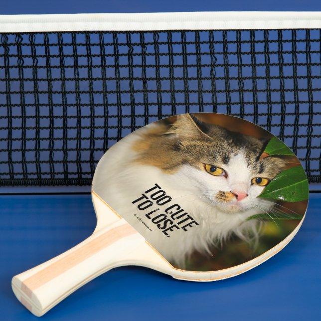 Whimsical The Cat and The Camellia Ping Pong Paddle (Insitu)