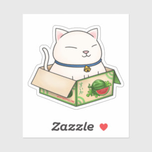 Whimsical White Cat in Fruit Cardboard Box