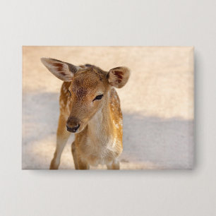 Whimsical Woodland Deer Photography