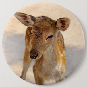 Whimsical Woodland Deer Photography 6 Cm Round Badge