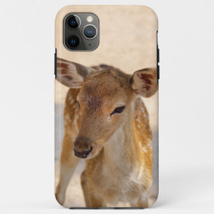 Whimsical Woodland Deer Photography Case-Mate iPhone Case