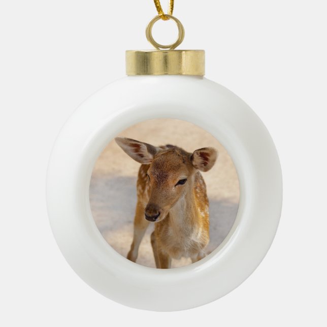 Whimsical Woodland Deer Photography Ceramic Ball Christmas Ornament (Front)