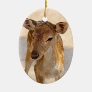 Whimsical Woodland Deer Photography Ceramic Tree Decoration