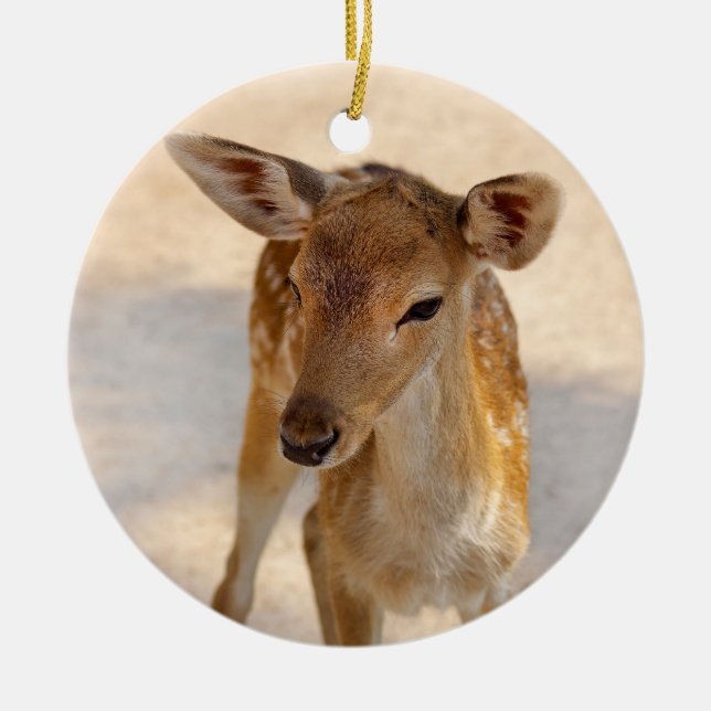 Whimsical Woodland Deer Photography Ceramic Tree Decoration (Front)