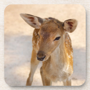 Whimsical Woodland Deer Photography Coaster