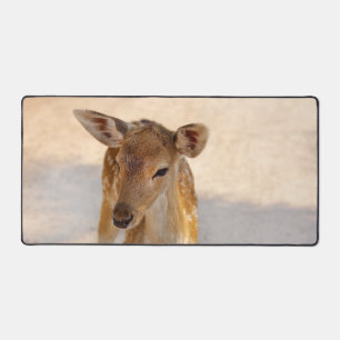 Whimsical Woodland Deer Photography Desk Mat
