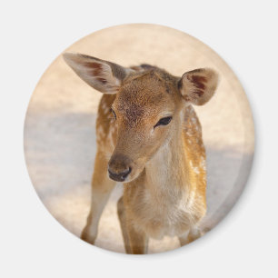 Whimsical Woodland Deer Photography Magnet