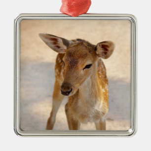 Whimsical Woodland Deer Photography Metal Tree Decoration
