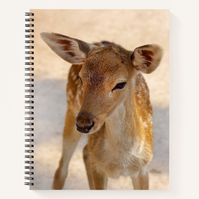 Whimsical Woodland Deer Photography Notebook (Front)