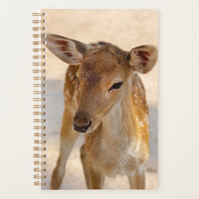 Whimsical Woodland Deer Photography Planner (Front)