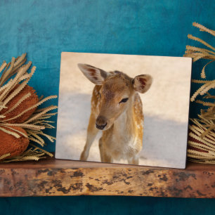 Whimsical Woodland Deer Photography Plaque