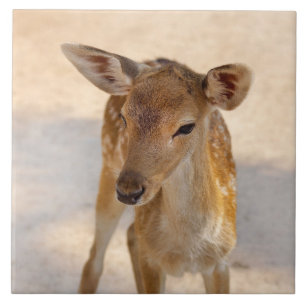 Whimsical Woodland Deer Photography Tile