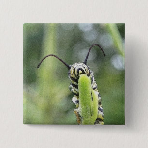 Whimsical Young Monarch Butterfly Caterpillar 15 Cm Square Badge