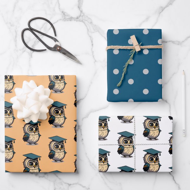 Whimsy Cute Owl Kid Grad School Teacher Cartoon  Wrapping Paper Sheet (Front)