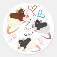 Whimsy Fancy Rats & Rainbow Hearts
