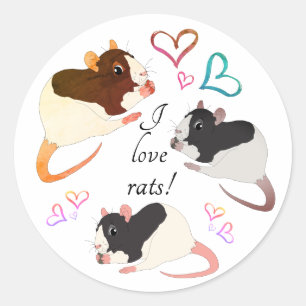 Whimsy Fancy Rats & Rainbow Hearts Classic Round Sticker