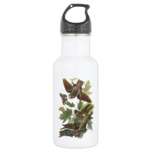 Whip-poor-will by Audubon 532 Ml Water Bottle
