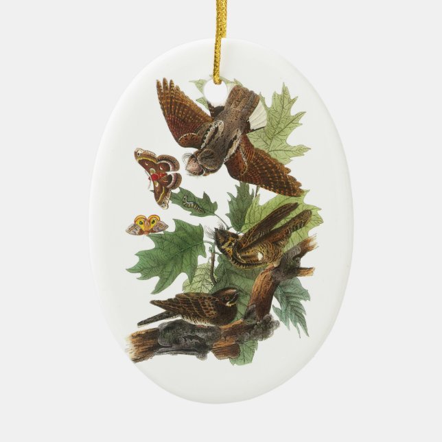 Whip-poor-will by Audubon Ceramic Tree Decoration (Front)