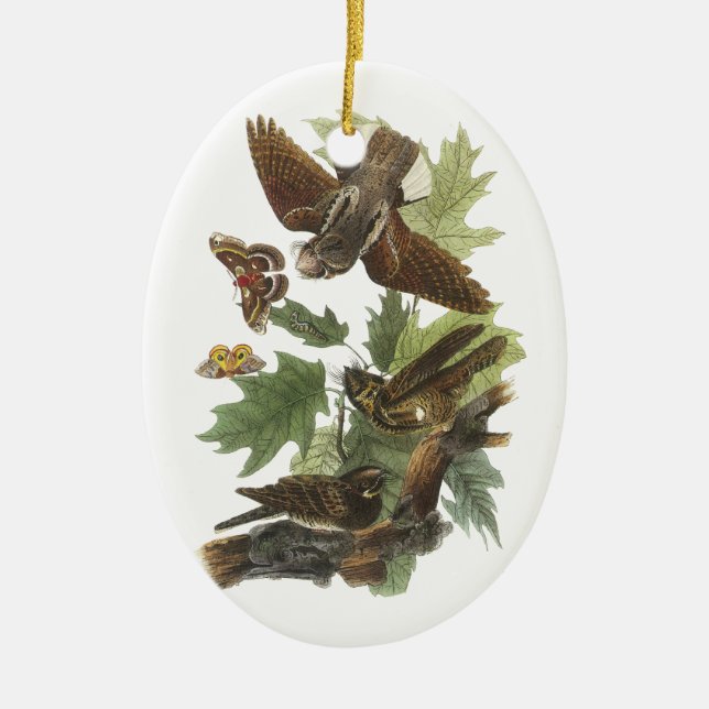 Whip-poor-will, John Audubon Ceramic Tree Decoration (Front)